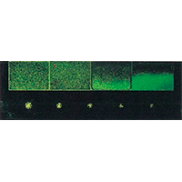 タイプ2対比試験片（Ni-Crメッキ割れ試験片） PT TP-02へのリンク
