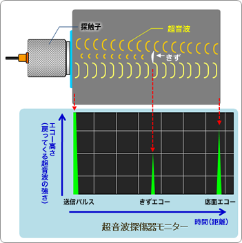 反射エコーのモニター表示